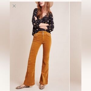 Pilcro and the Letterpress Tan Flare Pants